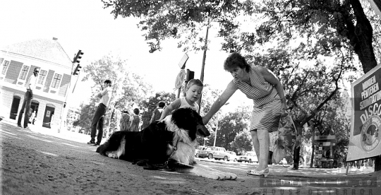 THM-BJ-08370 - Szekszárd, South Hungary, 1978