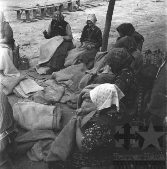 THM-BJ-08492 - Szakcs, South Hungary, 1966