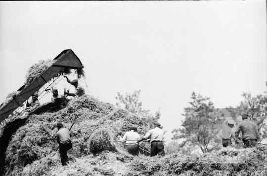 THM-BJ-08537 - Tamási, South Hungary, 1967 