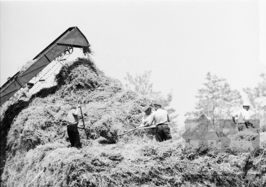 THM-BJ-08538 - Tamási, South Hungary, 1967 