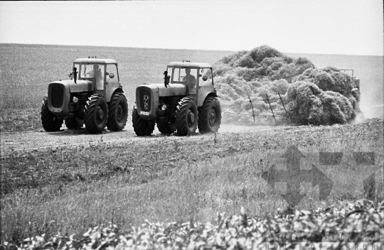 THM-BJ-08545 - Tamási, South Hungary, 1967 