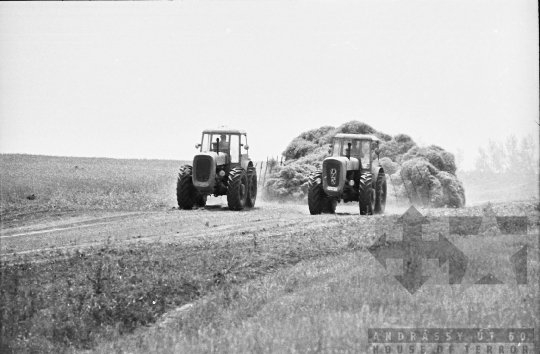 THM-BJ-08546 - Tamási, South Hungary, 1967 