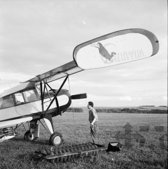 THM-BJ-08572 - Őcsény, South Hungary, 1968