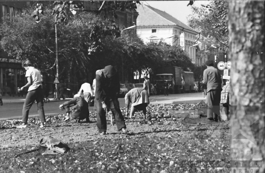 THM-BJ-08579 - Szekszárd, South Hungary, 1968