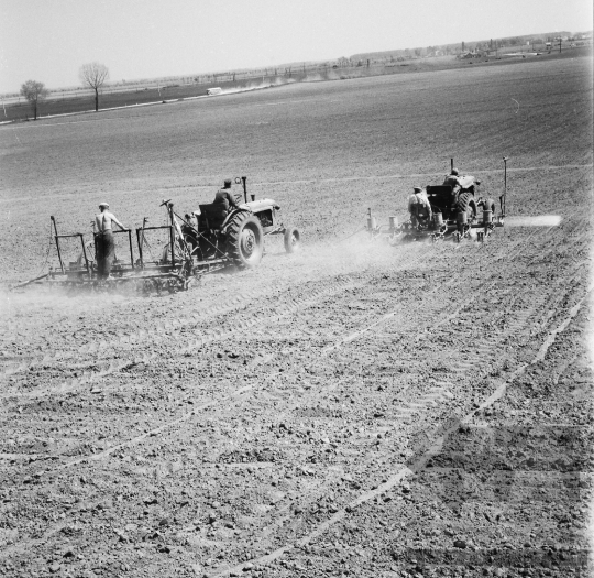 THM-BJ-08587 - Nagykónyi, South Hungary, 1968 