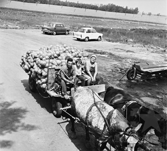 THM-BJ-08607 - Madocsa, South Hungary, 1976