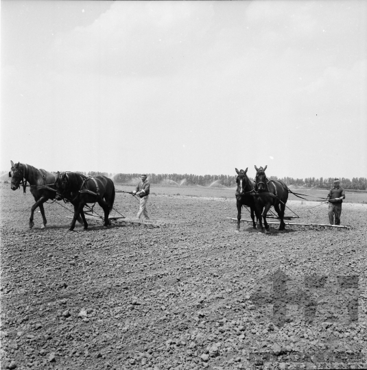 THM-BJ-08616 - Fadd, South Hungary, 1977 