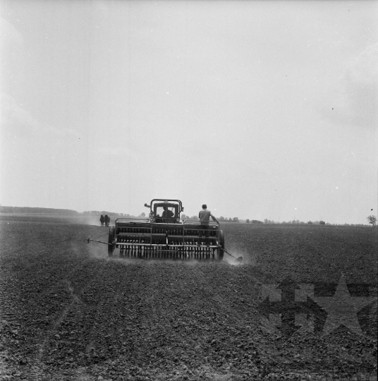 THM-BJ-08622 - Fadd, South Hungary, 1977 