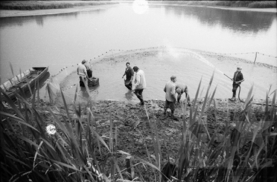 THM-BJ-08695 - Tamási, South Hungary, 1981