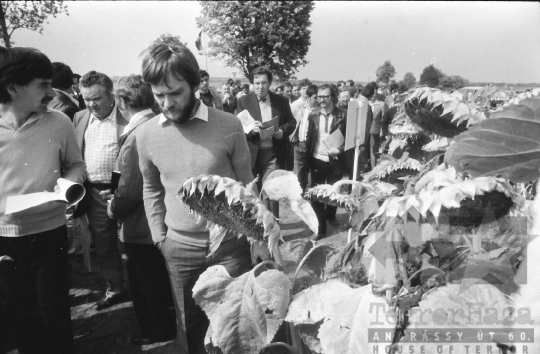 THM-BJ-08752 - Szekszárd, South Hungary, 1981 