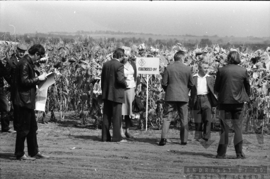 THM-BJ-08756 - Szekszárd, South Hungary, 1981 