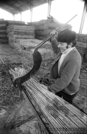 THM-BJ-08814 - Tolna-Mözs, South Hungary, 1981 