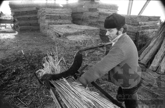 THM-BJ-08817 - Tolna-Mözs, South Hungary, 1981 