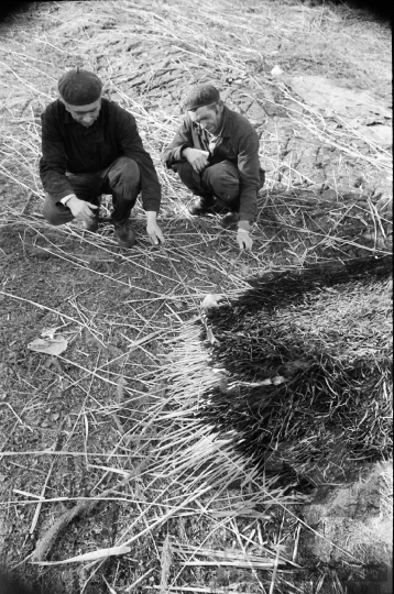 THM-BJ-08819 - Tolna-Mözs, South Hungary, 1981 