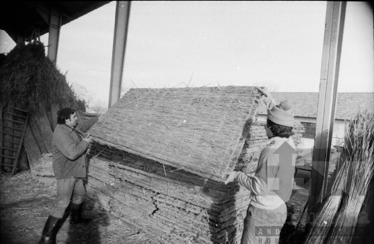 THM-BJ-08827 - Tolna-Mözs, South Hungary, 1981 