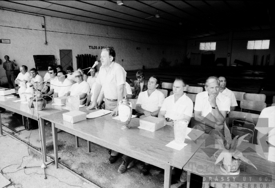 THM-BJ-08844 - Őcsény, South Hungary, 1981 