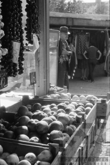 THM-BJ-08900 - Szekszárd, South Hungary, 1981