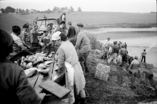 THM-BJ-08925 - Fornád, South Hungary, 1981