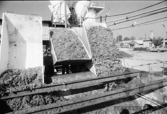 THM-BJ-08933 - Szekszárd, South Hungary, 1981 