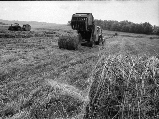 THM-BJ-09021 - Szekszárd, South Hungary, 1983 