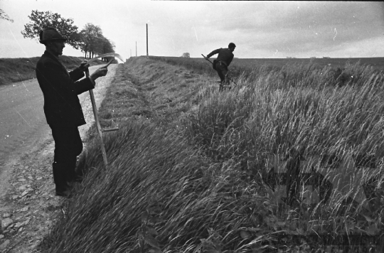 THM-BJ-09034 - Tamási, South Hungary, 1983 