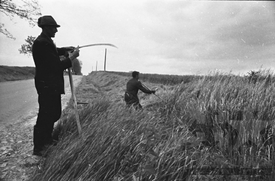 THM-BJ-09035 - Tamási, South Hungary, 1983 