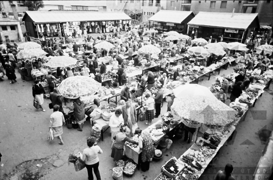 THM-BJ-09119 - Szekszárd, South Hungary, 1985