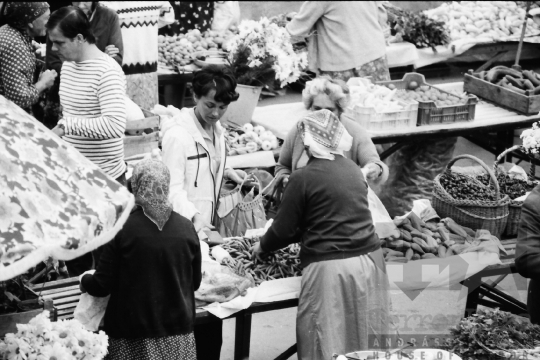 THM-BJ-09120 - Szekszárd, South Hungary, 1985