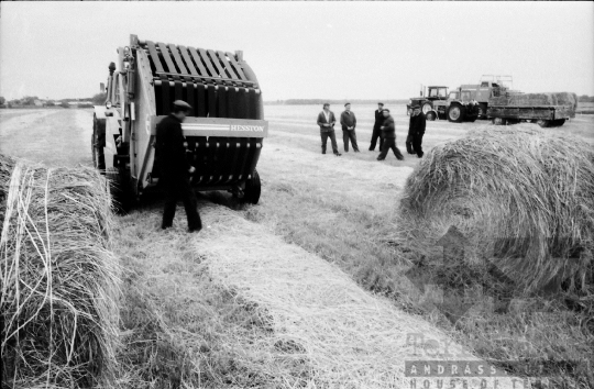 THM-BJ-09484 - Tengelic, South Hungary, 1988 