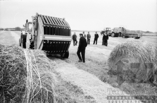 THM-BJ-09485 - Tengelic, South Hungary, 1988 