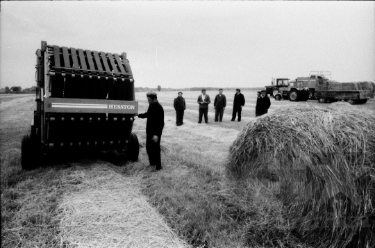 THM-BJ-09486 - Tengelic, South Hungary, 1988 