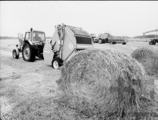 THM-BJ-09487 - Tengelic, South Hungary, 1988 