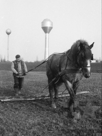 THM-BJ-09537 - Szekszárd, South Hungary, 1988