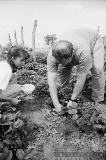 THM-BJ-09541 - Decs, South Hungary, 1988