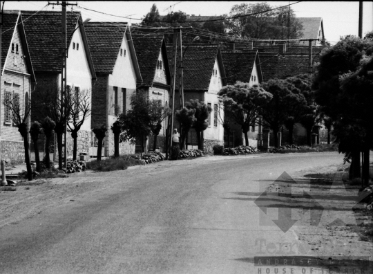 THM-BJ-09556 - Majos, South Hungary, 1982