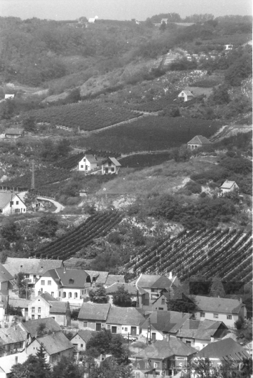 THM-BJ-09579 - Szekszárd, South Hungary, 1988