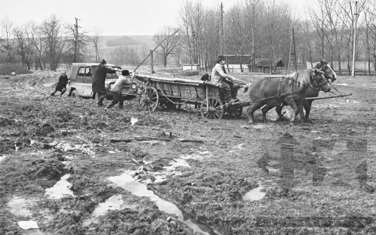 THM-BJ-09692 - Kakasd, South Hungary, 1977 