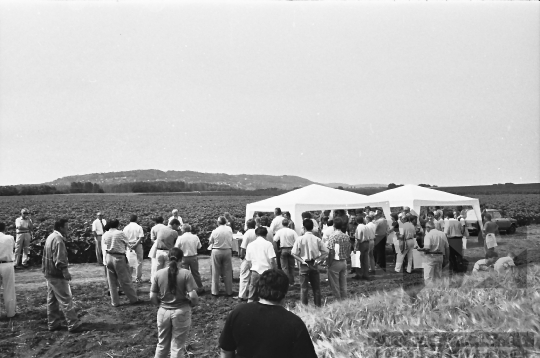 THM-BJ-09719 - Szekszárd, South Hungary, 1980