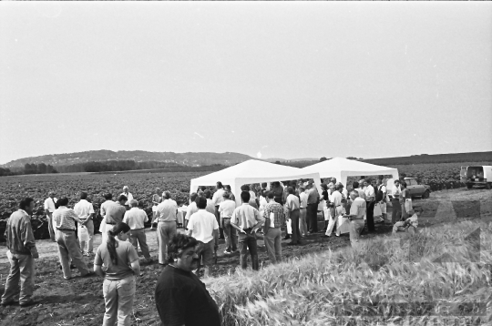 THM-BJ-09720 - Szekszárd, South Hungary, 1980