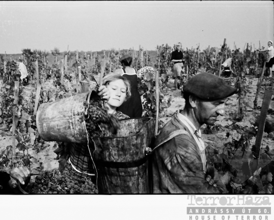 THM-BJ-10172 - Fornád, South Hungary, 1967 