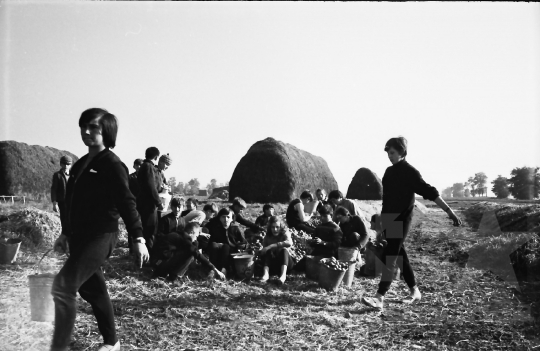 THM-BJ-10227 - Nagyszokoly, South Hungary, 1967