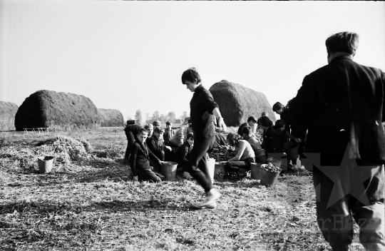 THM-BJ-10229 - Nagyszokoly, South Hungary, 1967