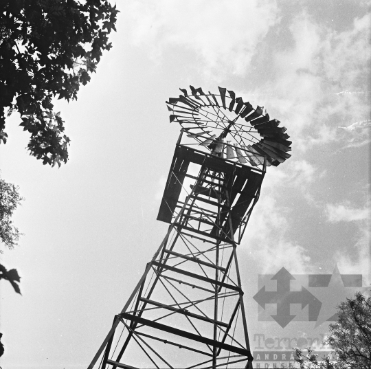 THM-BJ-10593 - Alsóhetény, South Hungary, 1979