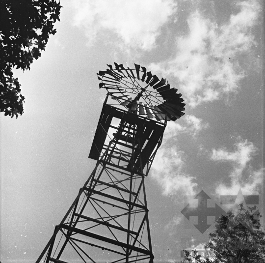 THM-BJ-10593a - Alsóhetény, South Hungary, 1979