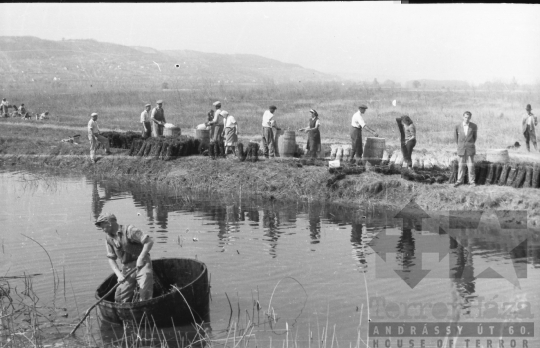 THM-BJ-10637 - Szekszárd, South Hungary, 1962