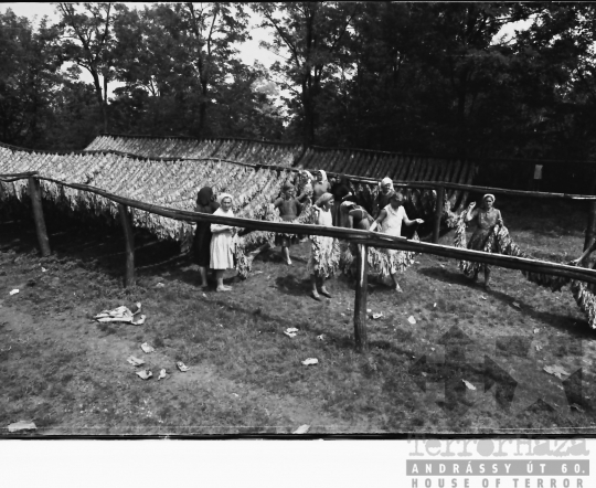 THM-BJ-10697 - Szekszárd, South Hungary, 1966