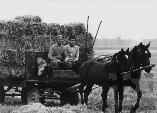 THM-BJ-11300 - Madocsa, South Hungary, 1988