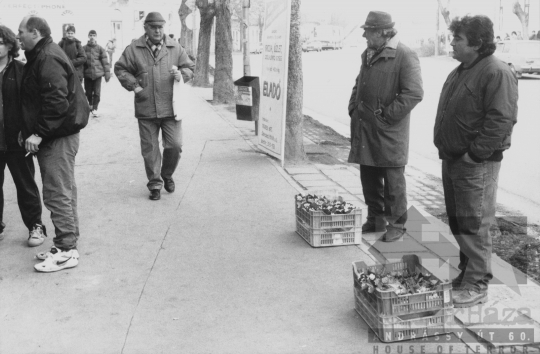 THM-BJ-11489 - Szekszárd, South Hungary, 1980