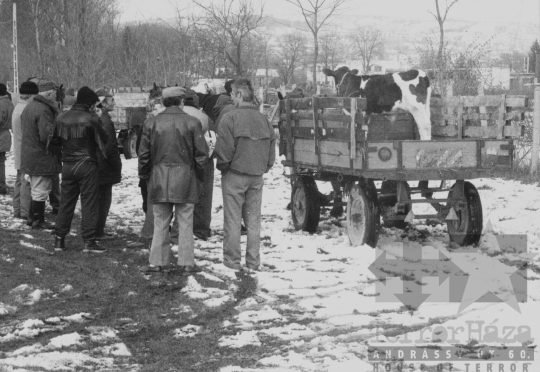 THM-BJ-11508 - Szekszárd, South Hungary, 1977