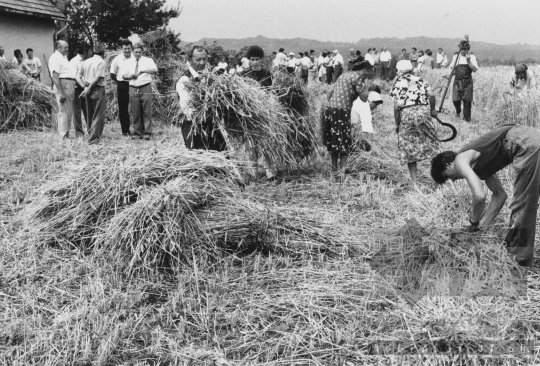 THM-BJ-11708 - Szentgálpuszta, South Hungary, 1980